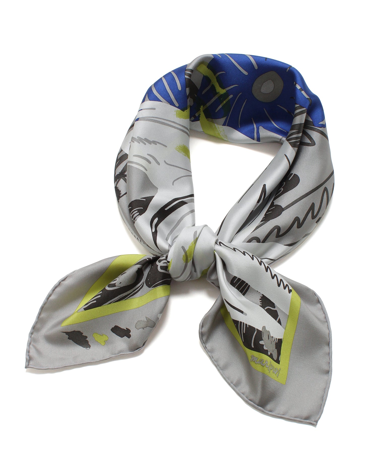 manipuri for AMARC silk scarf