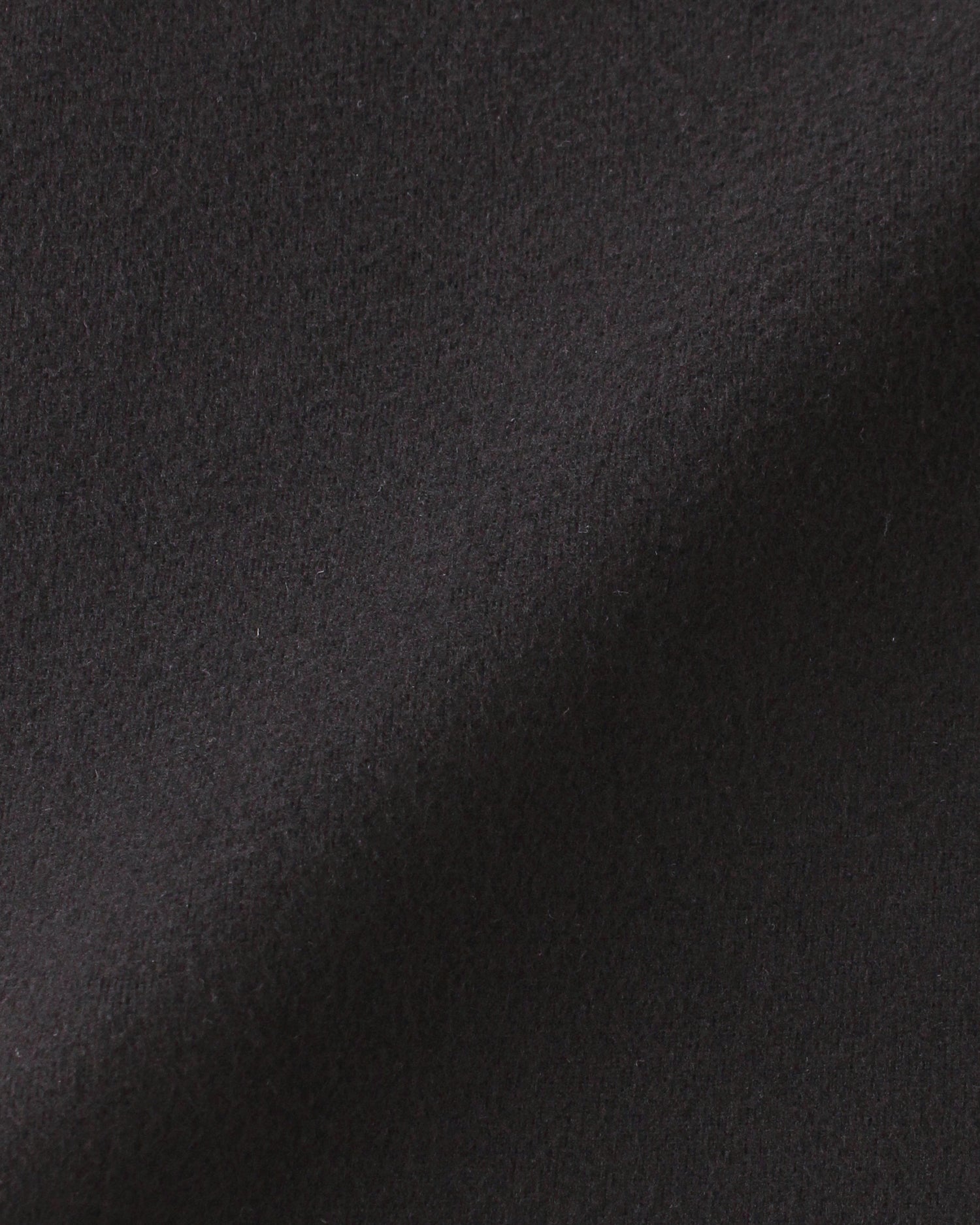 ジャージーカットソー＜ブラック＞