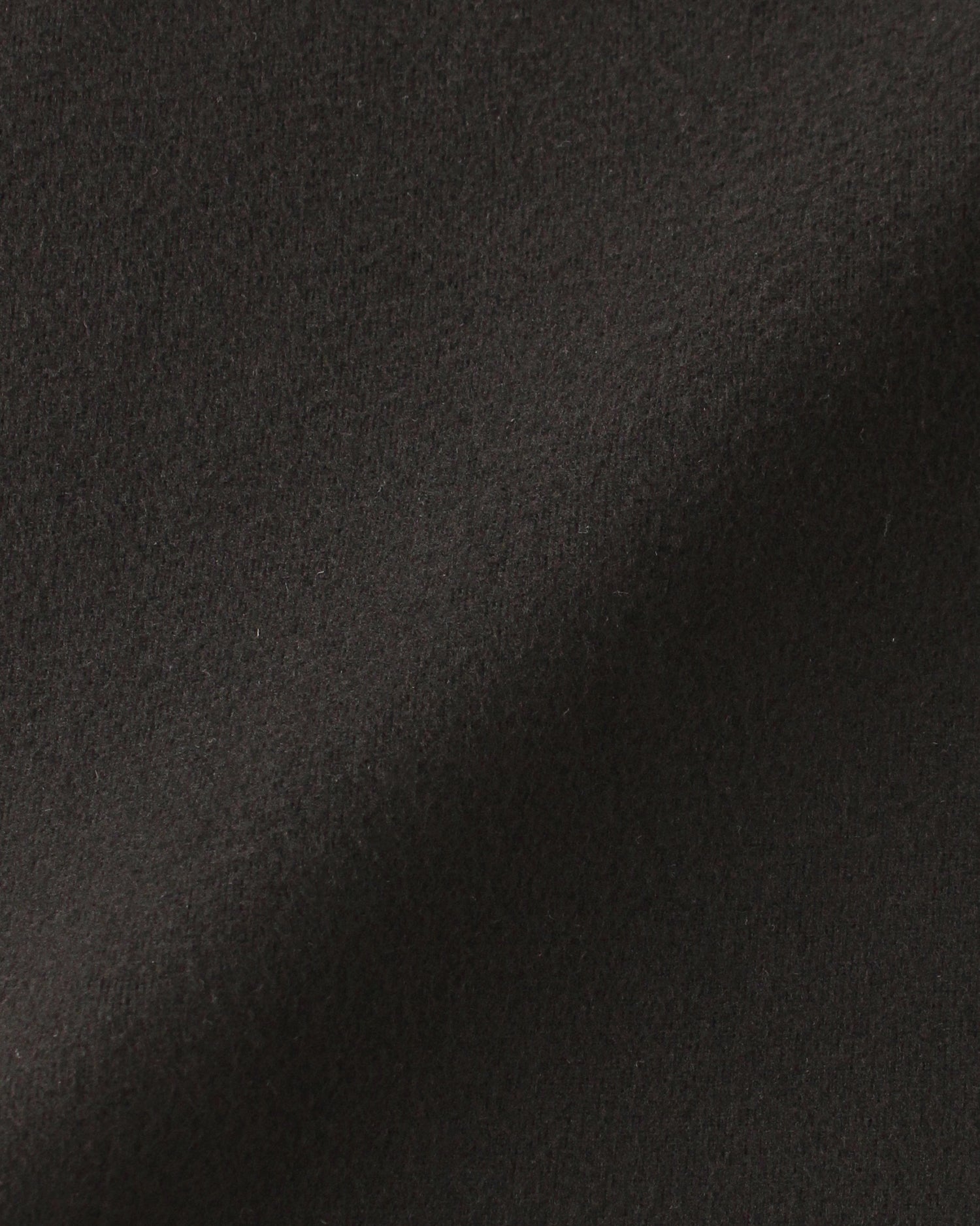 ジャージーカットソー＜ブラック＞